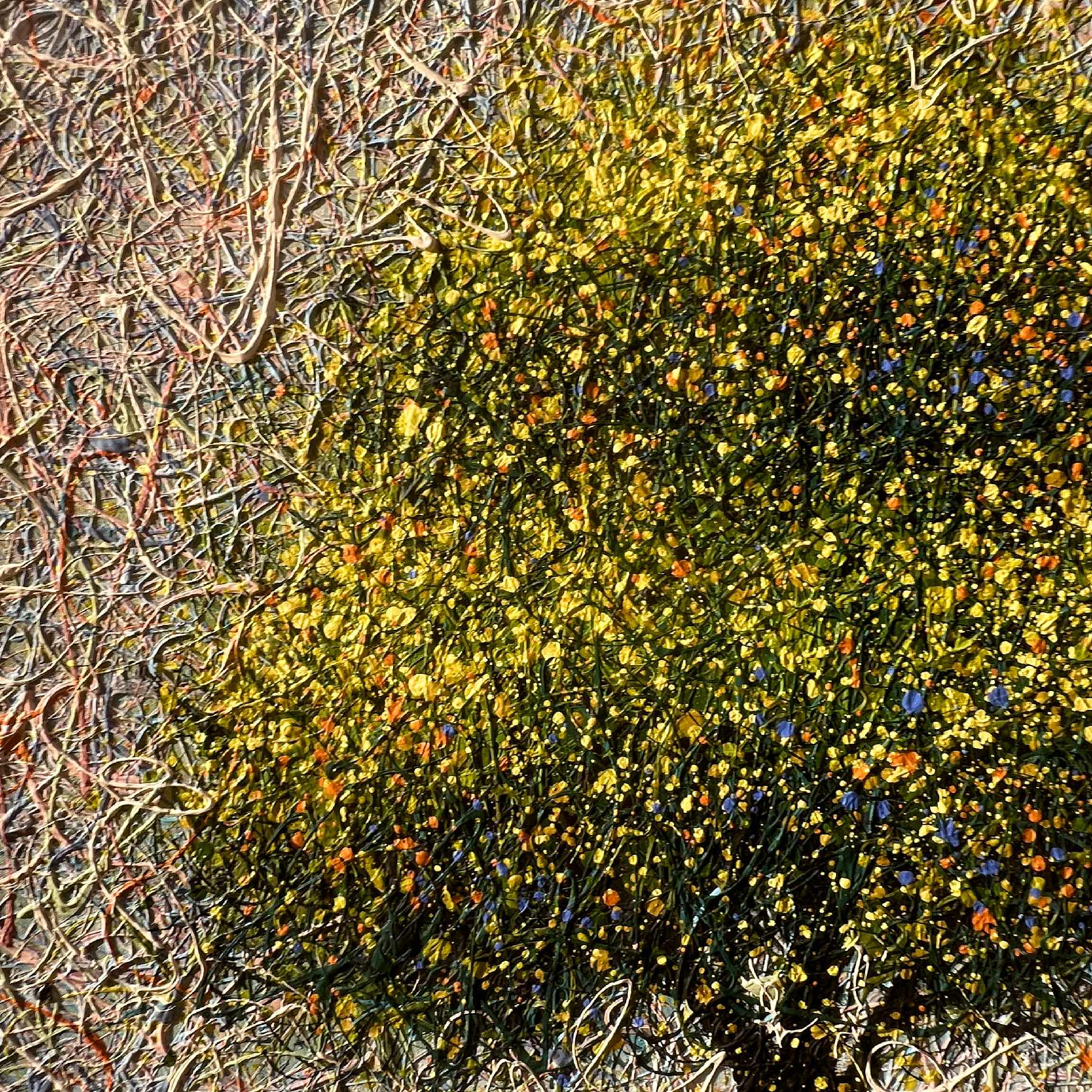 Breath of the Sunny Forest by Nadin Antoniuk | Buy Original Artwork Online